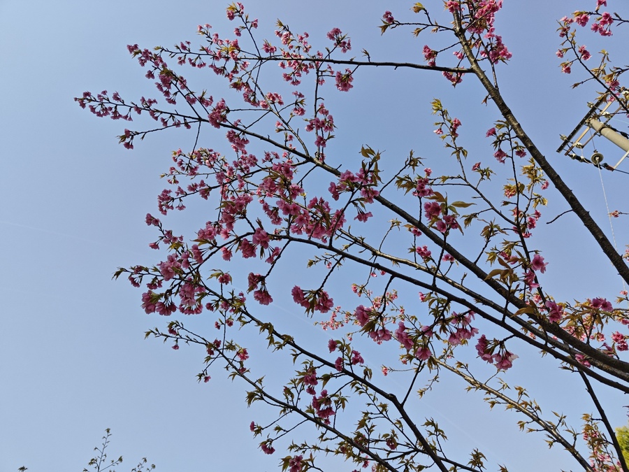 ˴ӣ
